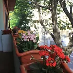 Buena Vida Hostel